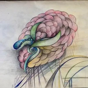 WhatsAppImage2025-12-02at10.35.15AM3-ezgif.com-resize